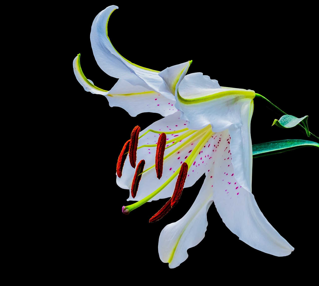 网页游戏yy送首冲_网页游戏平台送首充 网页游戏yy送首冲_网页游戏平台送首充