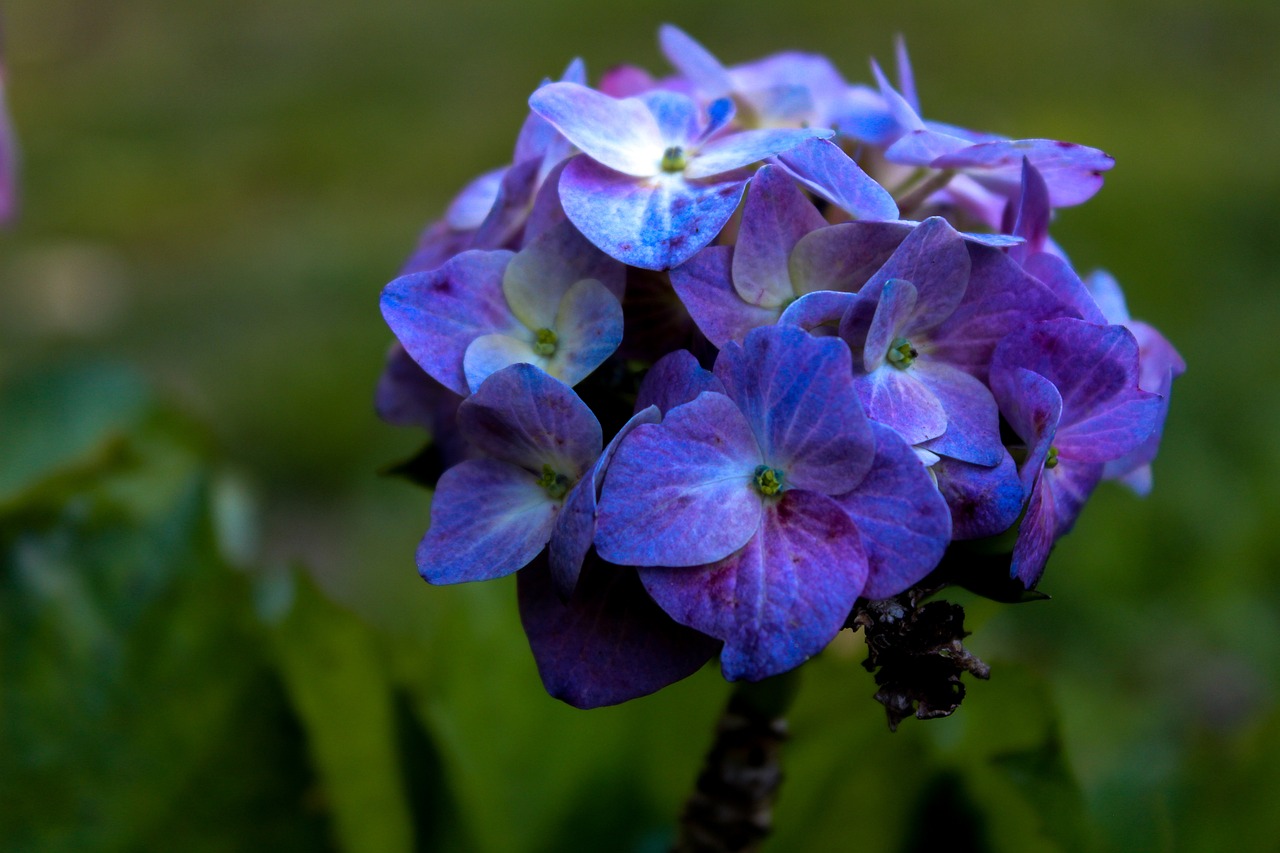 螺纹的实时行情_螺纹实时行情动态 螺纹的实时行情_螺纹实时行情动态