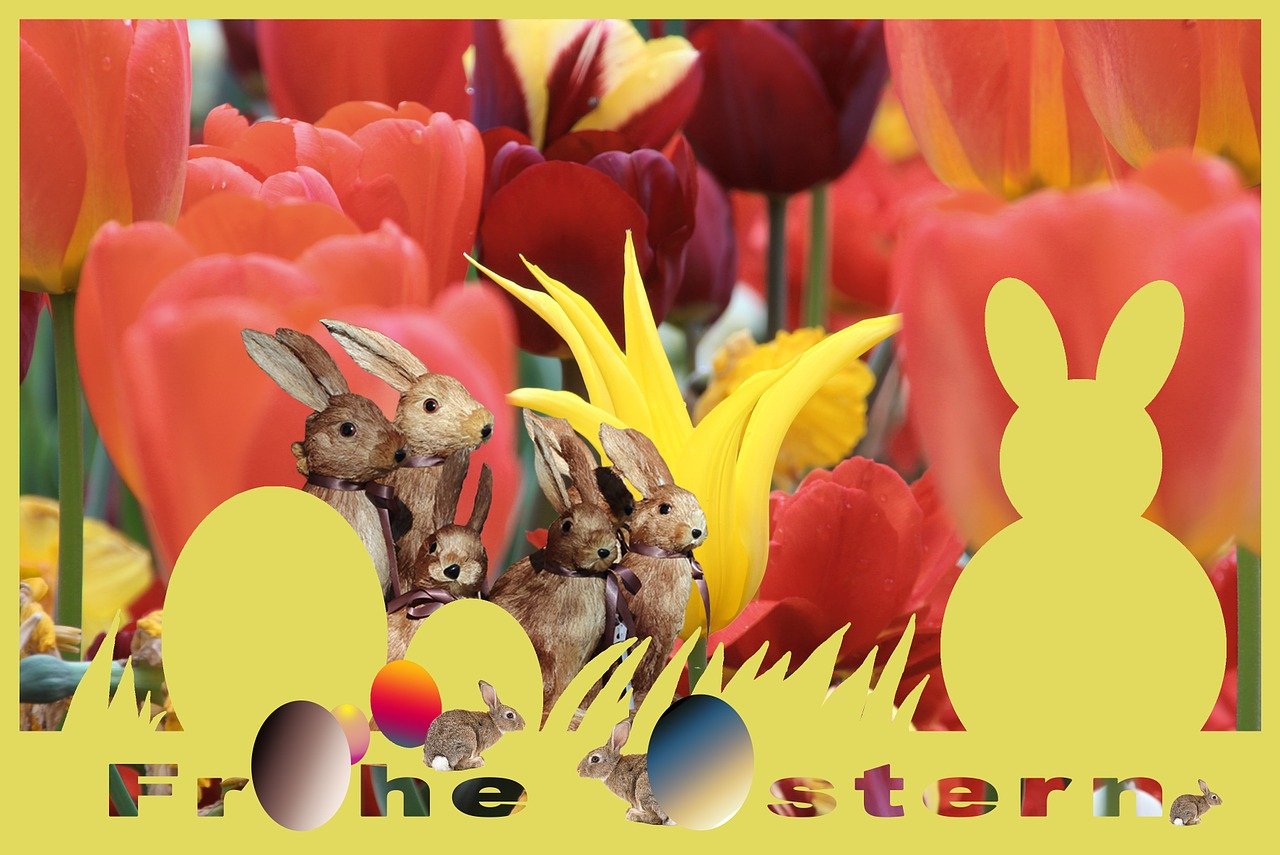 兔儿游戏攻略_兔儿冒险安卓