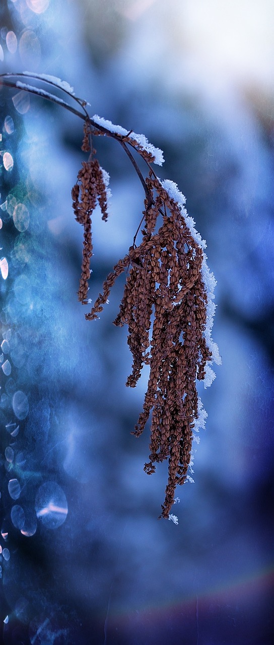 游戏思慕攻略_游戏思慕攻略大全 游戏思慕攻略_游戏思慕攻略大全