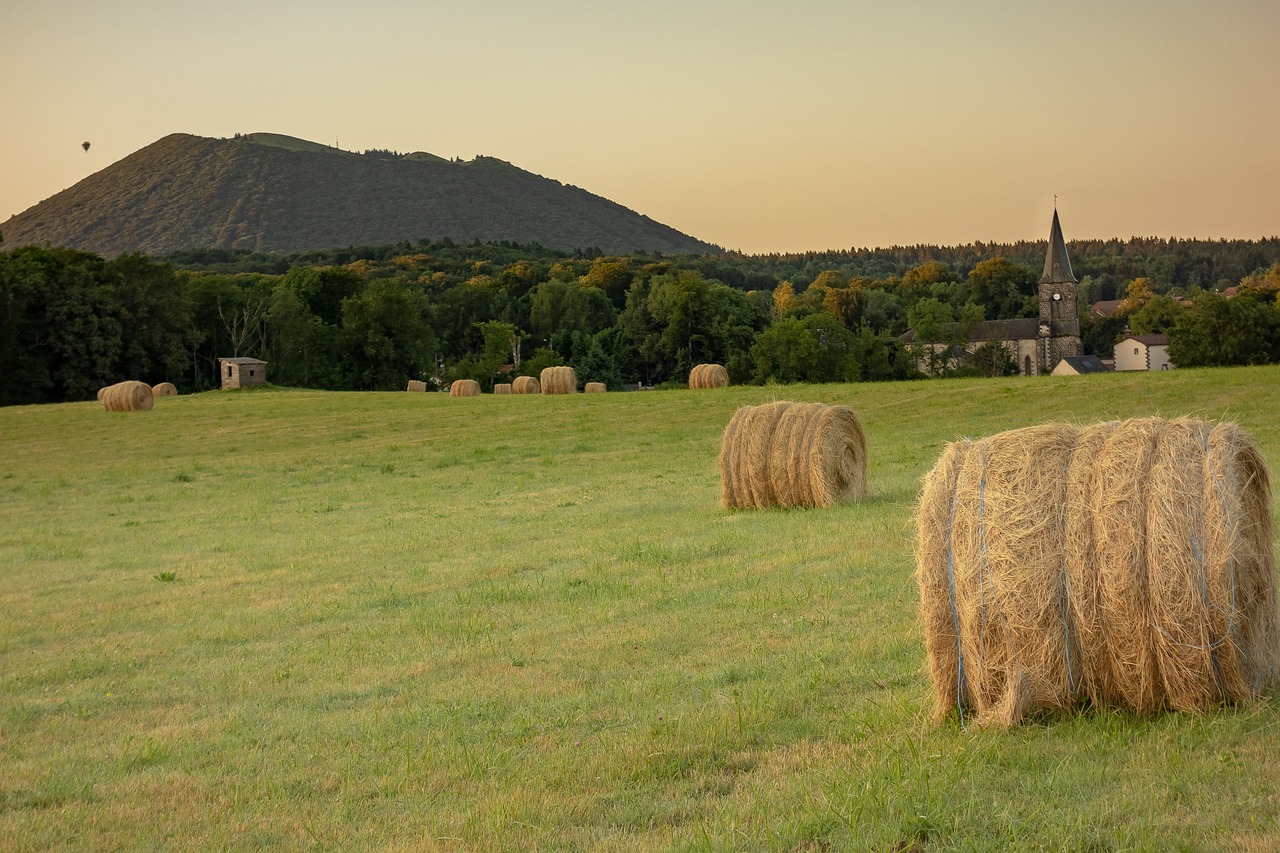 网页游戏部落战争_网页游戏 部落战争 网页游戏部落战争_网页游戏 部落战争
