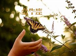 19121星座运势(星座运势12月运势2021)