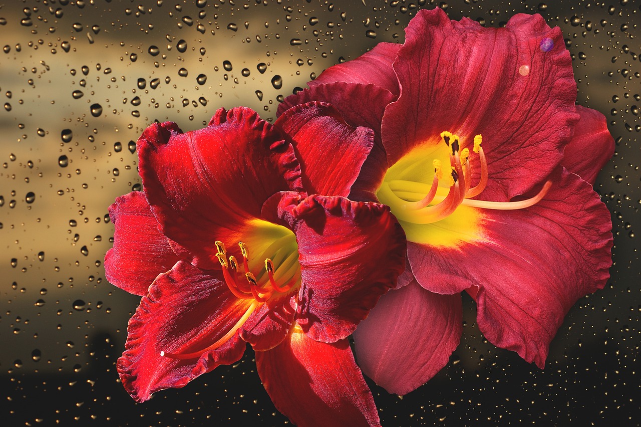 坐骑好看的网页游戏_有坐骑的网页游戏 坐骑好看的网页游戏_有坐骑的网页游戏