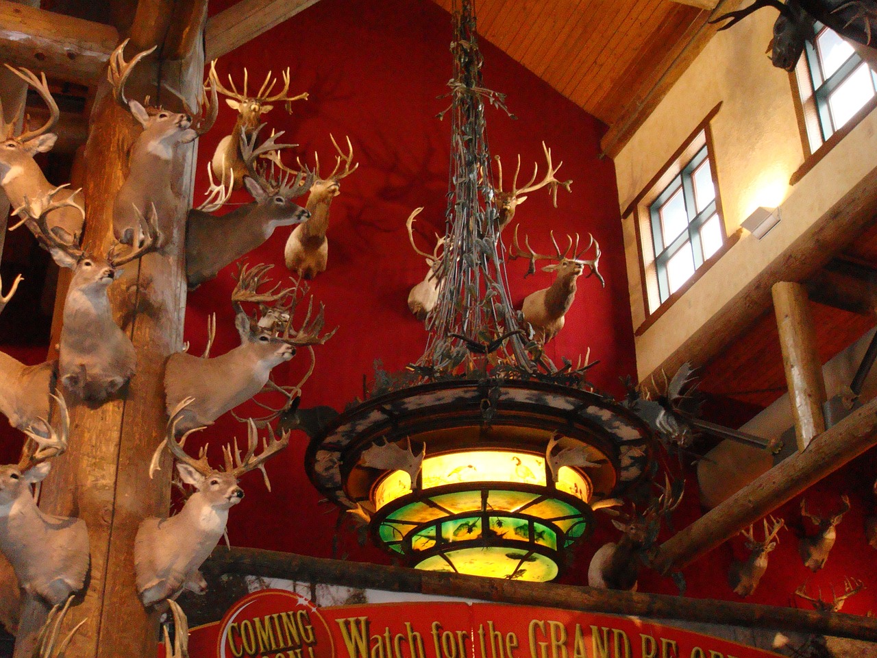 国亡游戏攻略_国王游戏灭亡小说 国亡游戏攻略_国王游戏灭亡小说