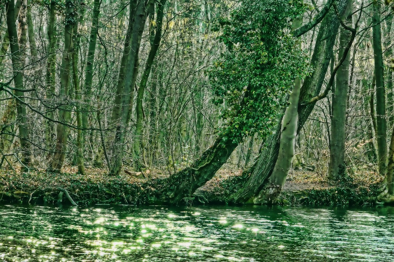 绿色游戏下载网页_绿色游戏中心
