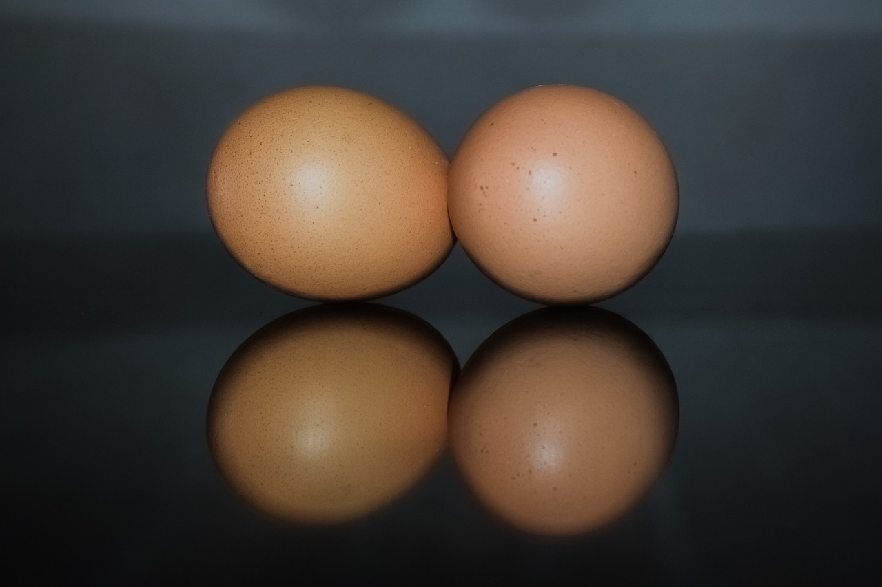 鸡蛋实时行情下载_鸡蛋行情走势分析 鸡蛋实时行情下载_鸡蛋行情走势分析