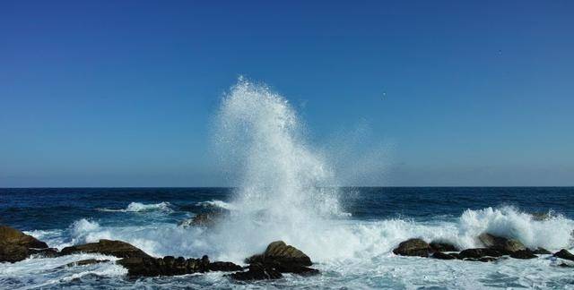 小天才星座运势(小天才星座运势在哪里看)