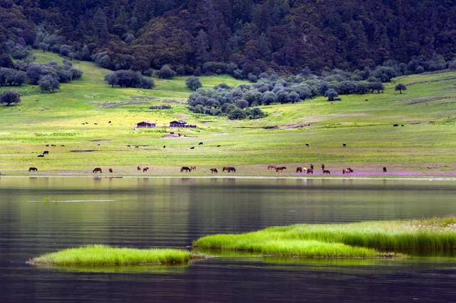 大理做什么比较赚钱(在大理开什么店比较好)